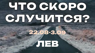 ЛЕВ 🍀 Прогноз на неделю (28.08-3.09 2023). Расклад от ТАТЬЯНЫ КЛЕВЕР. Клевер таро.