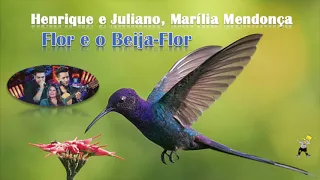 Henrique e Juliano part. Marília Mendonça - Flor e o Beija-Flor (Acapella)