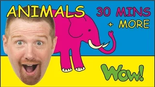 Safari Animals + More | Animal Songs for Children by Steve and Maggie | Collection Stories for Kids