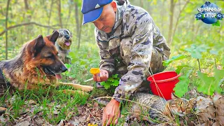 Жизнь на лесном хуторе. Строительство гаража мечты в котором будет даже тёплый пол.