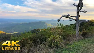 Shenandoah National Park in Early Fall 4K | Skyline Drive | 2 Hours Relaxing Scenic Driving Virginia