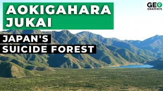 Aokigahara-Jukai: Japan's Suicide Forest