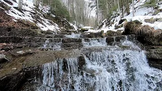 Поїздка в Карпати в вербну неділю