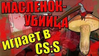 Масленок-убийца играет в ксс