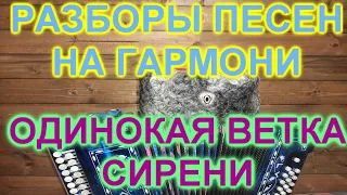 РАЗБОРЫ ПОД ГАРМОНЬ! ОДИНОКАЯ ВЕТКА СИРЕНИ!