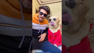 Tharki dog😂 #shorts | Anant rastogi & leo