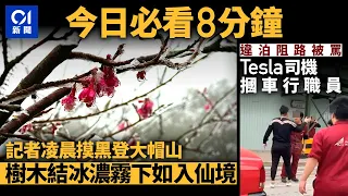 #今日新聞 香港 寒警下記者摸黑登大帽山　濃霧下如入仙境｜Tesla司機違泊阻路 竟反摑車行職員｜01新聞｜大帽山｜寒冷天氣警告｜8警案｜通關｜良景邨｜2024年1月23日 #hongkongnews