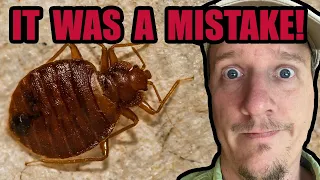 LUCK WAS NOT ON MY SIDE THIS TIME! - How I Brought Bed Bugs Into My Home And How I Eliminated Them