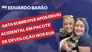 Gata sobrevive após envio acidental em pacote de devolução nos EUA | Eduardo Barão