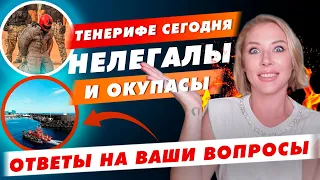 Нелегалы на Тенерифе  Окупасы  Жизнь на Канарах  Ответы на вопросы