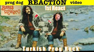 Guitarist First React | Barış Manço | Dönence  (react #389)