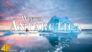Winter Antarctica 4K Ultra HD • Stunning Footage, Scenic Relaxation Film with Calming Music.