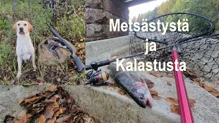 Kalastusta ja Metsästystä 2023 | Vapa mutkalla | Metso tähtäimessä | @eramiehenmatkassa #metsästys