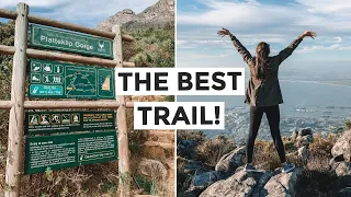 BEST WAY To Hike Table Mountain | Cape Town Vlog