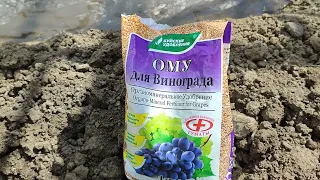 Весеннее внесение удобрений под куст винограда. 28.04.23