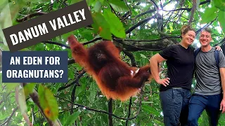 DANUM VALLEY, Best place to spot wild Orangoutangs? - Backpacking Borneo (6 of 9)