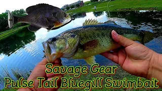 1st Catch on my Savage Gear Bluegill