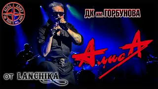 АлисА Горбушка 23.02.2023 от LANCHIKa