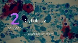 Cytology