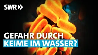 Wie gefährlich können Keime in Trinkwasser-Leitungen werden? | Zur Sache! Rheinland-Pfalz