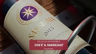 Il Sassicaia di Bolgheri | Storia e successi