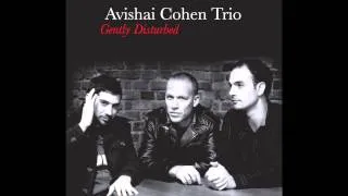 Avishai Cohen - Eleven Wives