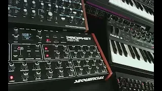 Sequential Prophet Rev2 Demo I No Talking + Custom Patches