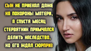 Сын не приехал даже на похороны матери, но вскоре примчался делить наследство, где его ждал сюрприз