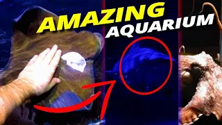 Surprise trip to the Oklahoma Aquarium! (AMAZING)