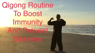 20 Minute Qigong Daily Routine to Boost Immunity and Prevent Sickness ( Silent )