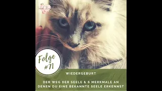 #71 - Wiedergeburt – der Weg der Seele & 6 Merkmale an denen du eine bekannte Seele erkennst