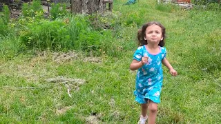 Baby trying to catch our farm peacock