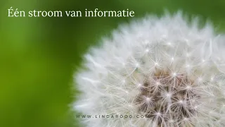 Één stroom van informatie