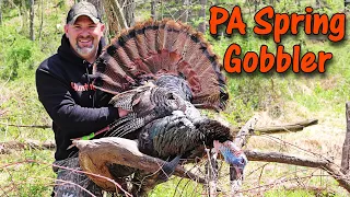 Opening Day Success! My PA Mountains Self-filmed Spring Turkey Hunt: 4.30.22