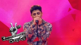 David Ray sings 'Sub Pielea Mea' - Blind Auditions - The Voice of Armenia - Season 4