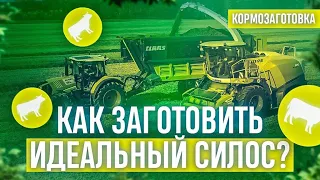 Как заготовить идеальный силос?