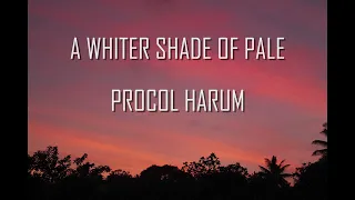 A Whiter Shade Of Pale Procol Harum Lyrics