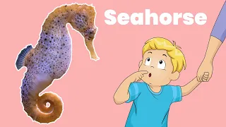 Seahorse | Best Educational Animal Video For Kids, Babies, Toddlers, and Preschoolers