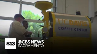 UC Davis has only coffee research center on a U.S. college campus