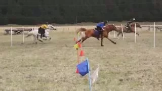 NZ Mounted Games 2013