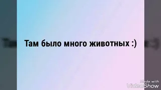 Ферма. МНОГО ЖИВОТНЫХ. Кролики, птицы, лошадь, козы, ламы....