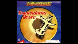 EL TEQUENDAMA DE ORO VOL. 6         Varios (1986) Vinyl