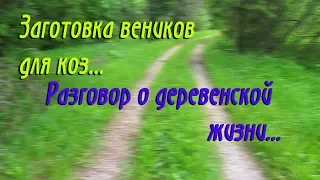 Заготовка веников для коз//Разговор о деревенской жизни