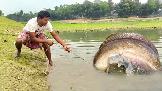 New Unbelievable Big Monster CatFish Catching From Underwater of River 2022 #fishing