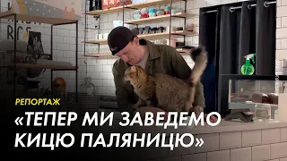 «Заведемо кицю Паляницю»: кав'ярня з котами у Харкові відновила роботу під час війни
