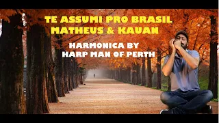 Te Assumi Pro Brasil -  Matheus & Kauan | Harmonica Cover | @MatheusEKauan #brasil #youtube #cover