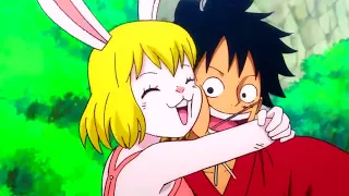 🍎 A CARROT NÃO PODE VER O LUFFY QUE JÁ TRATA ELE DESSE JEITO! 🤭