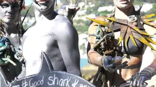 #goodsharkkarma 2014 invades Clifton 4th Beach