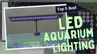 Top 5 Best Led Aquarium Lighting Review in 2023