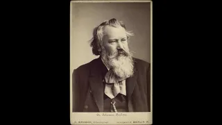 Johannes Brahms - Clarinet Sonata No. 1 in F minor Op. 120 | 2nd mvt